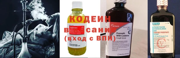 прущие грибы Майский