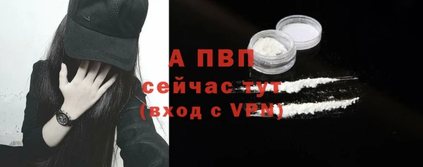 прущие грибы Майский