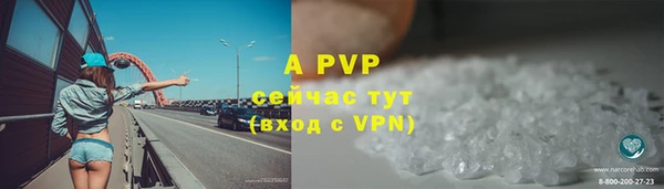 прущие грибы Майский