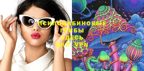 прущие грибы Майский