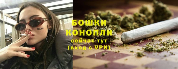 прущие грибы Майский